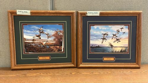 (2) FRAMED DUCK PRINTS W/NO GLASS