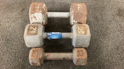 (3) Weights