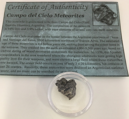 4.00 Gram W/COA Meteorite-Space Rock (Campo Del Cielo, Argentina)