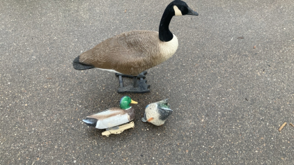 BAGS OF GOOSE AND DUCK DECOYS