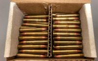 (175) RNDS. 22 HORNET AMMO - 3