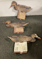 THREE BLACKWATER DECOY CO. MALLARD HENS