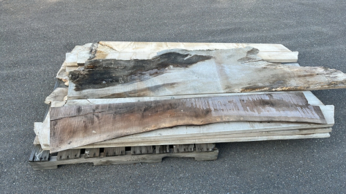 LIVE EDGE SLABS OF WOOD