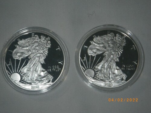 (2) 1oz Silver Eagles