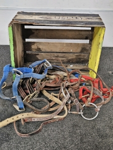 HORSE TACK