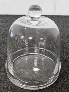 9×10 GLASS DISPLAY BELL