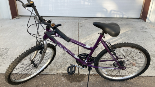 dynacraft northern ridge bike