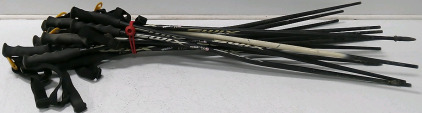 (6) Pairs of Ski Poles