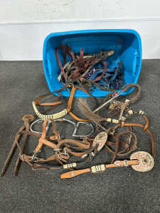 HORSE HALTERS, BITD SND HOOF TRIMMERS