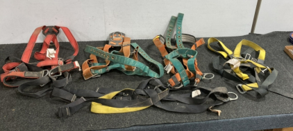 (5) Fall Protection Harness'