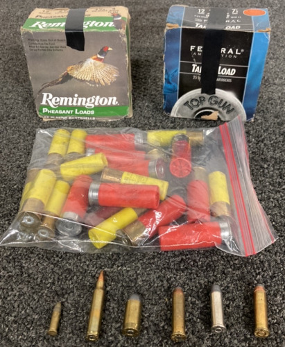 (25) REMINGTON PHEASANT SHOTSHELLS, (25) FEDERAL AMMUNITION SHOTSHELLS, BAG OF SHOTGUN BULLETS