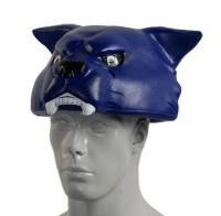 2 UNIVERSITY OF KENTUCKY WILDCAT FOAM HEADS