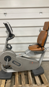 TechnoGym Recumbent Bike