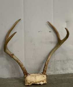 2 X 2 Buck Rack w/ No Mount 12”X 13”X 8”