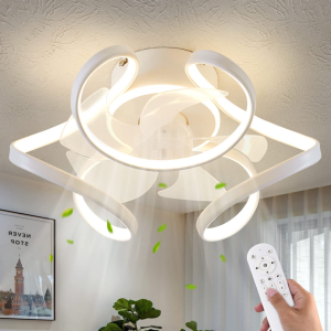 Ceiling fan W/Light
