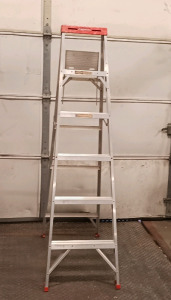 Warner 6' Aluminum Ladder