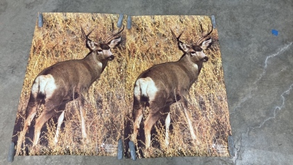 (2) Tru-Life #111 Archery Poster