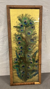 FRAMED PEACOCK FEATHERS