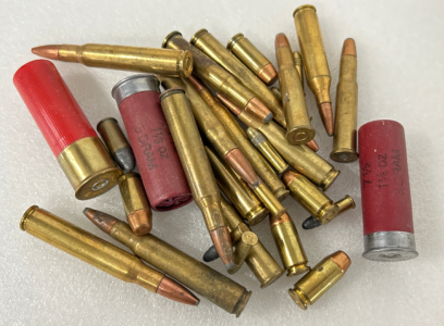 MIXED AMMO: 40 S&W, 12 GA, 30-30, 30-06 AND .22