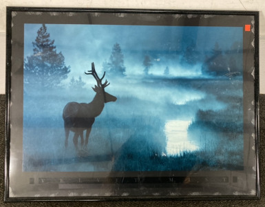 FRAMED VELVET MIST PHOTOGRAPH BY DANIEL COX (33X25&rdquo;)