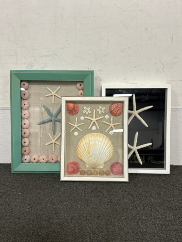 (3) FRAMED SEASHELL SHADOW BOX WALL ART- 12x16 AND 11x14