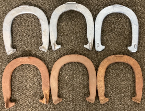 SIX ROYAL HORSESHOES