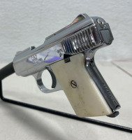 Raven Arms MP-25, .25 Auto Semi Automatic Pistol - 2