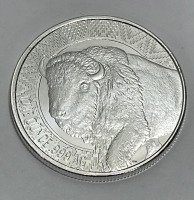 Buffalo Warrior One Ounce .999 Silver Round - 2