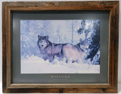 Beautiful 38"×28" Wolves Print Custom Framed By Mac's With Reclaimed Barn Wood