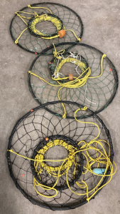 (3) Crabbing Rings