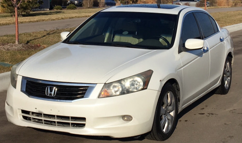 2010 Honda Accord - CLEAN CAR