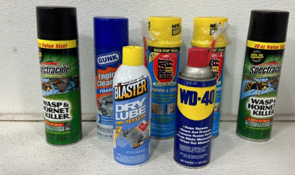 (2) 20oz Bottles Of Spectracide Wasp And Hornet Killer, (2) 16oz Bottles Of Great Stuff Window And Door Sealant, (1) 11oz Can Of WD-40, (1) 9.3oz Can Of Blaster Dry Lube, And (1) 17oz Can Of Gunk Foamy Engine Cleaner