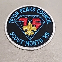 (16) Local Idaho Boy/Cub Scout Patches - 3