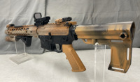 Palmetto State Armory PA-15, Multi Cal Semi Automatic Rifle - 2