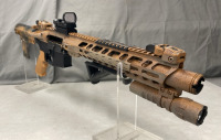 Palmetto State Armory PA-15, Multi Cal Semi Automatic Rifle - 4