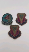 (6) Original US Army Air Force Military Patches Including 366th TACTICAL Fighter Wing Patch!! (4) Original WW2 US Army Collar Insignia Disc's - 4