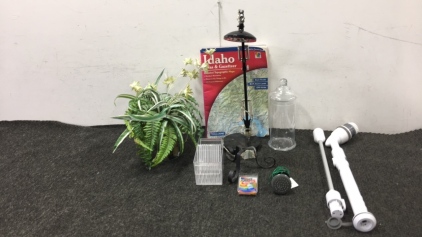 Atlas, Fake Plant, Lamp, Glass Jar