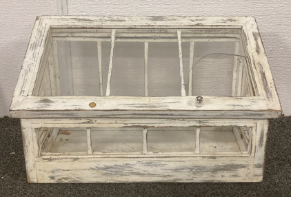 (1) ANTIQUE GLASS DISPLAY CABINET