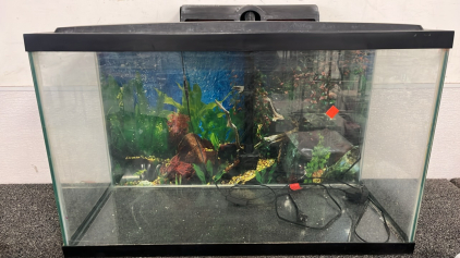 FISH TANK W/ WATER FILITER ( 19”x 30”)