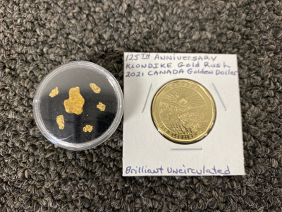 (6) Alaska/ Klondike Natural Gold Nuggets and Gold Rush Coin