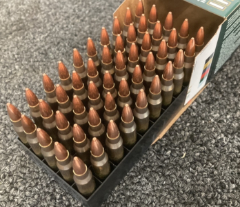 (100) Rds Fiocchii .223 Remington Ammo