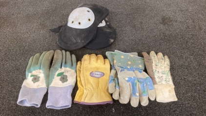 Box Of Gardening Items