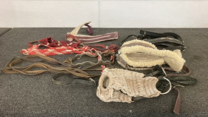 Assorted Horse Tack