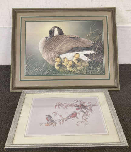 Duck And Robin Framed Art