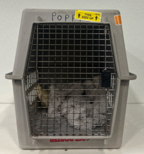 Large Dog Crate