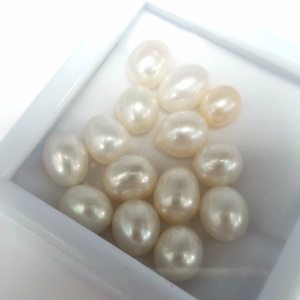 $200 Fresh Water Pearl Half Drill 10G