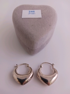 .925 Silver Earrings