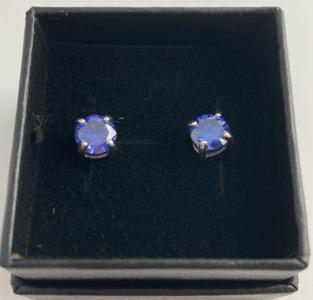 Blue Stone Earrings