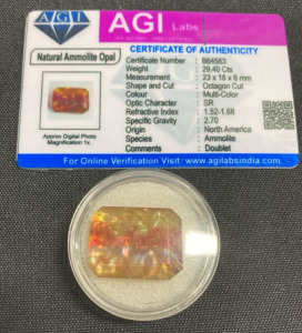 Ammolite Opal Stone