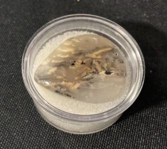 Gemstone Cabochon